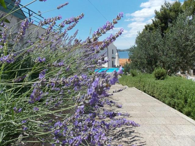 Apartments Villa Goja Trogir Bilik gambar