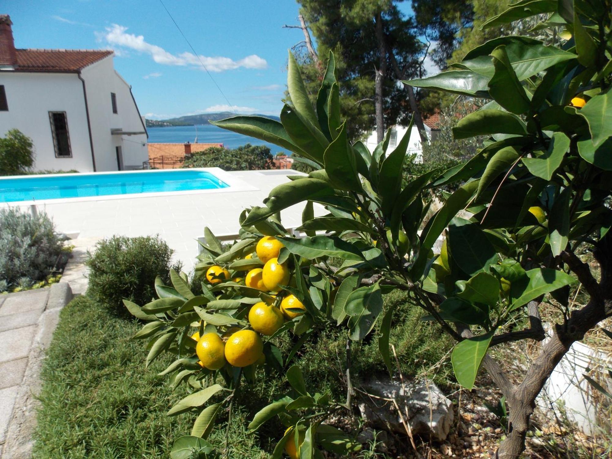 Apartments Villa Goja Trogir Bilik gambar