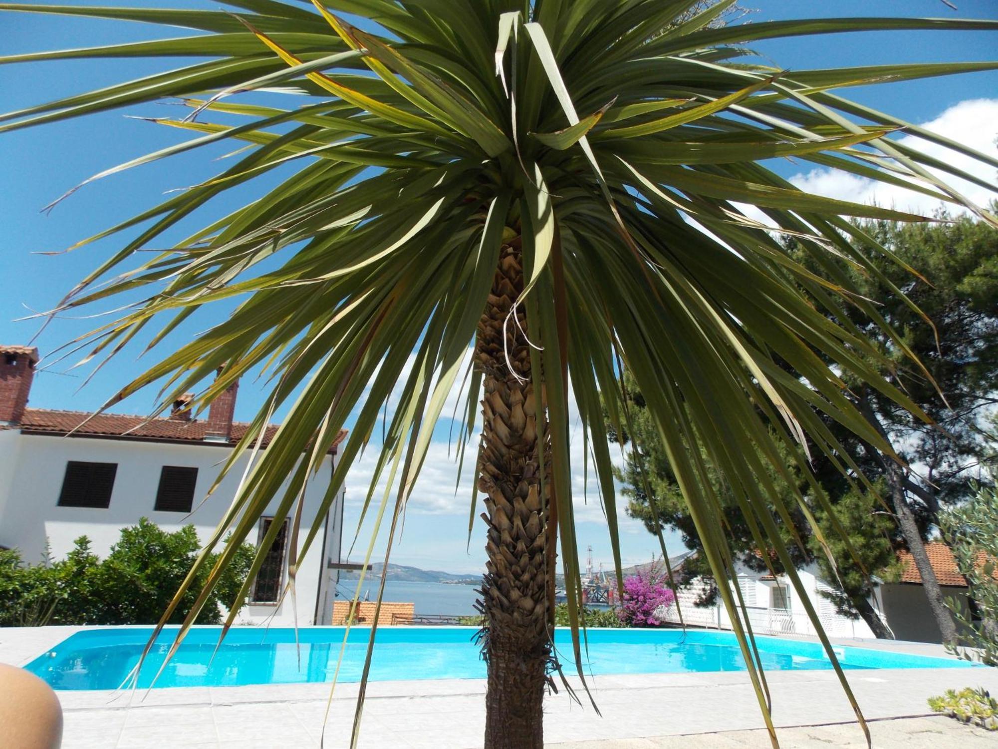 Apartments Villa Goja Trogir Bilik gambar